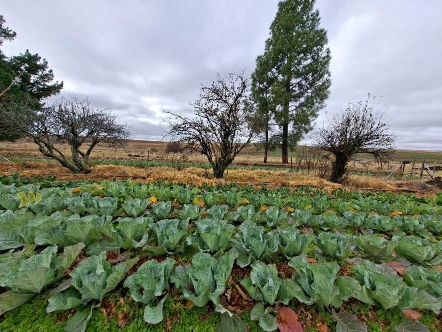Commercial Property for Sale in Bethlehem Rural Free State